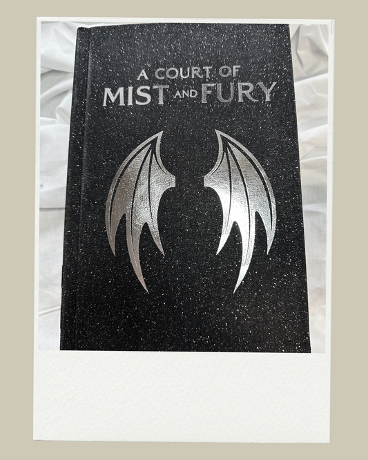 A Court of Mist and Fury - Sarah J. Maas | Night Court Edition